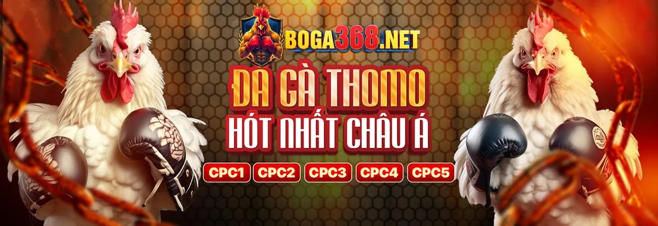 Trận đá gà kịch tính tại Hello88