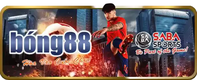 Gói quà tặng chào mừng người dùng mới